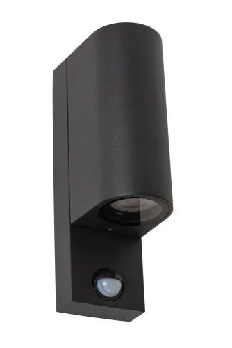 Настенный светильник Zaro Ir 69803/02/30 Lucide уличный IP65 чёрный 2 лампы, плафон чёрный в стиле современный GU10 фото 4
