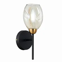 Бра Gloa SLE155501-01 Evoluce янтарный 1 лампа, основание чёрное в стиле современный 
