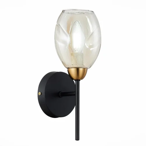 Бра Gloa SLE155501-01 Evoluce янтарный на 1 лампа, основание чёрное в стиле современный 