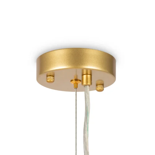 Люстра подвесная Florencia FR5049PL-27G Freya белая на 27 ламп, основание золотое в стиле современный флористика ветви фото 3