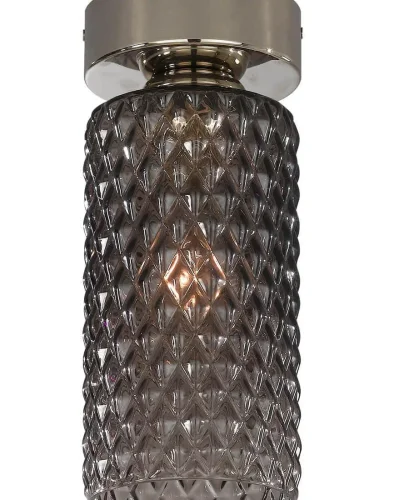 Светильник накладной PL 10000/1 Reccagni Angelo серый чёрный 1 лампа, основание никель в стиле современный классический круглый фото 2