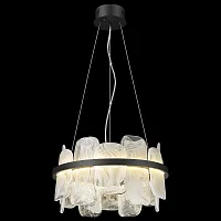 Светильник подвесной LED Nelly WE158.12.603 Wertmark прозрачный на 1 лампу, основание чёрное в стиле современный 