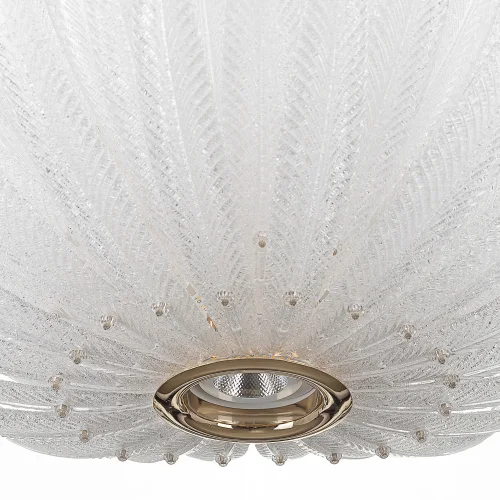 Люстра подвесная LED Deltoro CL327170 Citilux прозрачная на 1 лампу, основание золотое в стиле современный флористика арт-деко фото 5