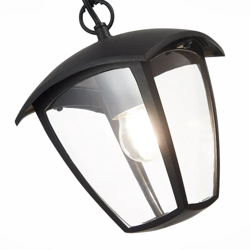 Подвесной  светильник Sivino SL081.403.01 ST-Luce уличный IP44 чёрный 1 лампа, плафон прозрачный в стиле современный E27 фото 3