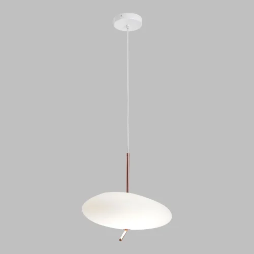 Светильник подвесной LED LSP-7528 Lussole белый на 1 лампу, основание белое в стиле современный фото 2