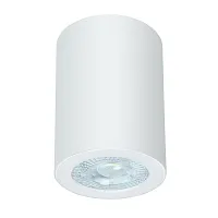 Светильник накладной Tino A1468PL-1WH Arte Lamp белый 1 лампа, основание белое в стиле модерн круглый