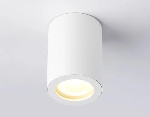 Светильник накладной TN22797 Ambrella light белый 1 лампа, основание белое в стиле хай-тек современный круглый фото 2