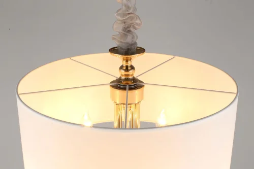 Люстра подвесная Berze APL.721.06.05 Aployt белая на 5 ламп, основание золотое в стиле классический  фото 7