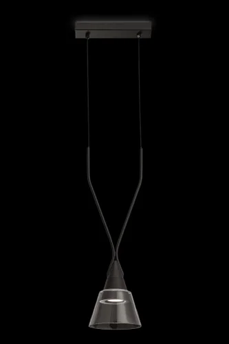Светильник подвесной Hilo P063PL-01B Maytoni прозрачный 1 лампа, основание чёрное в стиле современный  фото 2