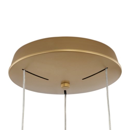 Люстра подвесная ЛЕД с пультом Дженка / Genka CL756A092 Citilux белая золотая на 1 лампу, основание золотое в стиле современный кольца яндекс алиса с пультом фото 4 Люстра подвесная ЛЕД с пультом Дженка / Genka CL756A092 Citilux белая золотая на 1 лампу, основание золотое в стиле современный кольца яндекс алиса с пультом фото 4