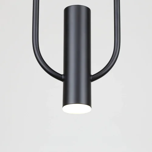Светильник подвесной LED Levitas 4191-1P Favourite чёрный 1 лампа, основание чёрное в стиле современный  фото 5