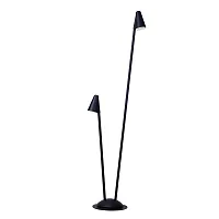 Парковый светильник LED Muphrid A4109PA-2BK Arte Lamp уличный IP65 чёрный на 2 лампы, плафон чёрный в стиле современный LED