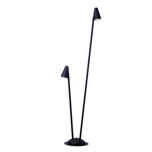 Парковый светильник LED Muphrid A4109PA-2BK Arte Lamp уличный IP65 чёрный на 2 лампы, плафон чёрный в стиле современный LED