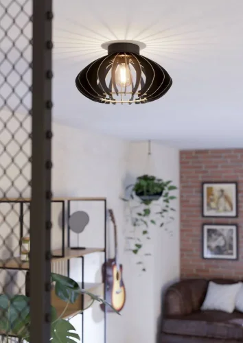 Светильник потолочный Cossano 900999 Eglo чёрный на 1 лампу, основание чёрное в стиле современный кантри фото 2 Светильник потолочный Cossano 900999 Eglo чёрный на 1 лампу, основание чёрное в стиле современный кантри фото 2