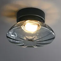 Светильник потолочный CHARIN Black 223959-23 ImperiumLoft чёрный 1 лампа, основание чёрное в стиле современный 
