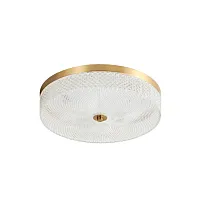 Светильник потолочный LED Viro L 1.13.35x7 G Arti Lampadari прозрачный на 1 лампу, основание золотое в стиле классический 
