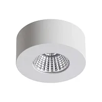 Светильник накладной LED Bene 4282/7СL Odeon Light белый 1 лампа, основание белое в стиле современный хай-тек круглый