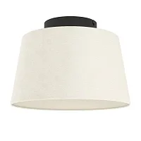 Светильник потолочный Febres 901259 Eglo белый на 1 лампу, основание чёрное в стиле кантри современный 