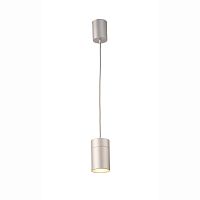 Светильник подвесной ARUBA 5625 Mantra серебряный 1 лампа, основание серебряное в стиле современный минимализм трубочки