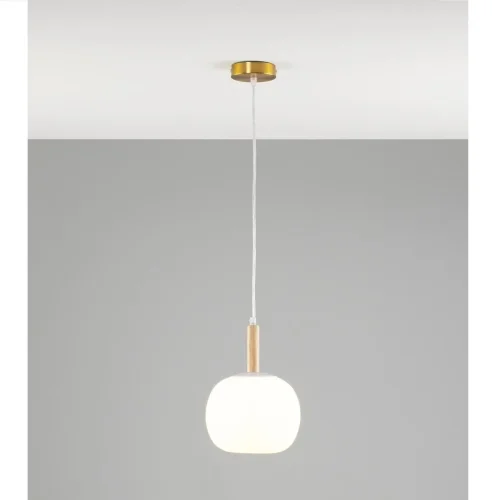 Светильник подвесной Cute V10290-PL Moderli белый 1 лампа, основание коричневое бежевое в стиле кантри шар
