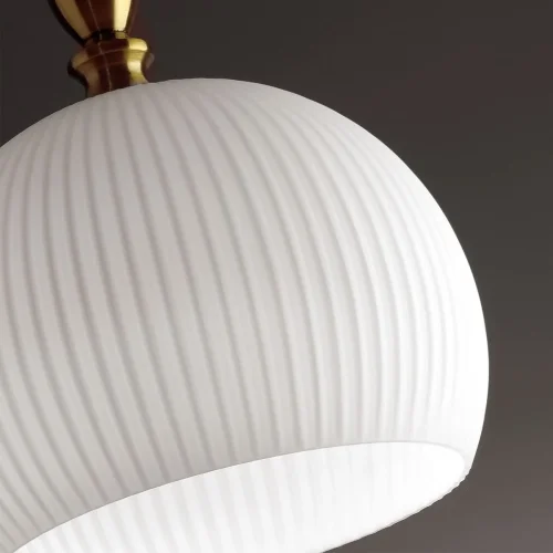 Светильник подвесной Runga 4765/1 Odeon Light белый 1 лампа, основание бронзовое в стиле классический шар фото 3