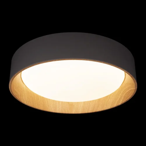 Светильник потолочный LED Coin 10202 Grey LOFT IT белый 1 лампа, основание коричневое серое в стиле современный  фото 2