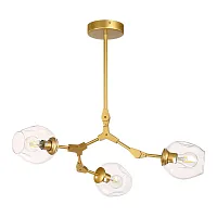 Люстра подвесная лофт Rozzano OML-92903-03 Omnilux прозрачная на 3 лампы, основание матовое золото в стиле лофт 