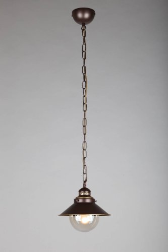 Светильник подвесной Fontelo OML-50406-01 Omnilux прозрачный 1 лампа, основание коричневое в стиле кантри  фото 2