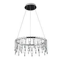 Светильник подвесной LED Rotondo 1019/02 SP-70 Divinare прозрачный на 1 лампу, основание хром в стиле современный 