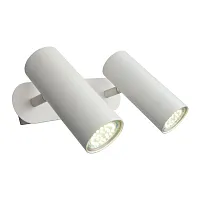 Спот с 2 лампами LED Racalmuto OML-20201-02 Omnilux белый LED в стиле хай-тек 