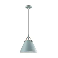 Светильник подвесной Darren 3721/1 Lumion серый на 1 лампу, основание серое в стиле современный 