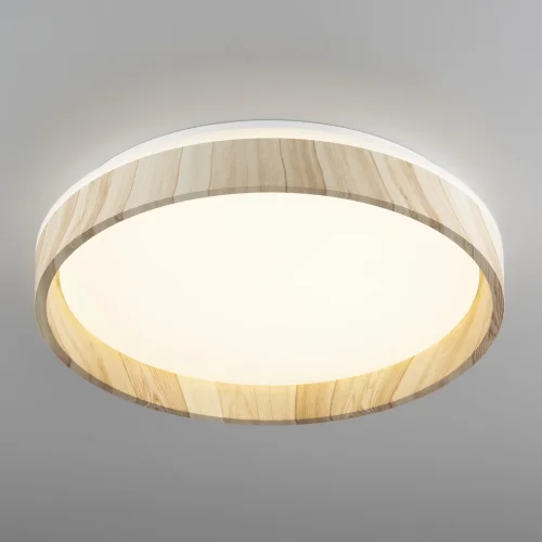 Светильник потолочный LED с пультом Enzo CL753352G Citilux белый на 1 лампу, основание бежевое в стиле современный хай-тек круглый с пультом фото 3