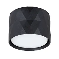 Светильник накладной Fang A5552PL-1BK Arte Lamp чёрный 1 лампа, основание чёрное в стиле модерн минимализм круглый
