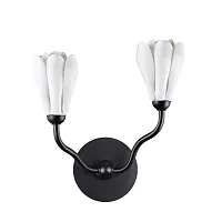 Бра Gardi 5090/2W Odeon Light белый на 2 лампы, основание чёрное в стиле классический флористика 