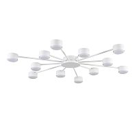 Светильник потолочный Torina 8343/12C Lumion белый на 12 ламп, основание белое в стиле минимализм 