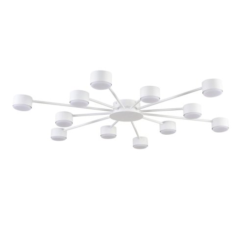 Светильник потолочный Torina 8343/12C Lumion белый на 12 ламп, основание белое в стиле минимализм 