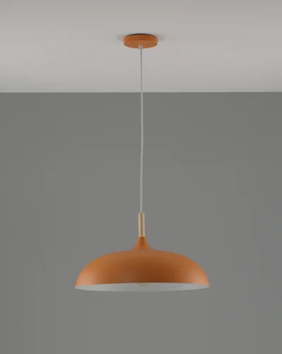 Светильник подвесной Hygo V10654-1P Moderli оранжевый 1 лампа, основание оранжевое в стиле лофт скандинавский современный  фото 2