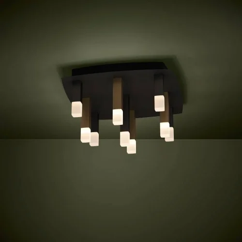 Светильник потолочный LED Estanterios 39905 Eglo коричневый чёрный 9 ламп, основание чёрное в стиле современный  фото 2