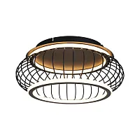 Светильник потолочный LED Korg 4435-2C F-promo чёрный на 1 лампу, основание чёрное в стиле лофт 