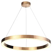 Светильник подвесной LED Brizzi 3885/45LA Odeon Light бронзовый 1 лампа, основание бронзовое в стиле хай-тек современный кольца