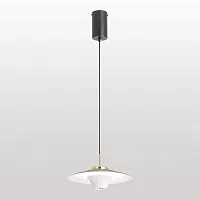 Светильник подвесной LED Irvine LSP-7377 Lussole чёрный на 1 лампу, основание чёрное в стиле современный 