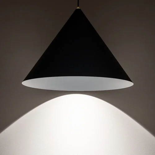 Светильник подвесной Zenith L 8005-NW Nowodvorski чёрный на 1 лампу, основание чёрное в стиле лофт фото 2