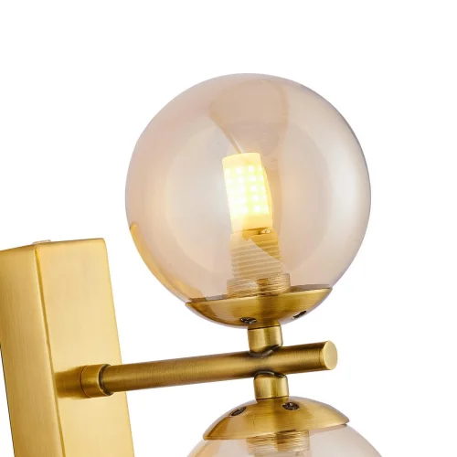 Бра Varietas 2649-2W Favourite янтарный на 2 лампы, основание латунь в стиле современный молекула фото 6