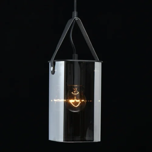 Светильник подвесной Тетро 673015701 DeMarkt чёрный 1 лампа, основание чёрное в стиле современный  фото 4