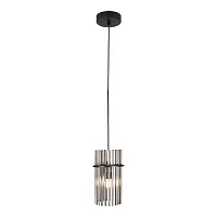 Светильник подвесной Miller LSP-8925 Lussole прозрачный 1 лампа, основание чёрное в стиле современный 