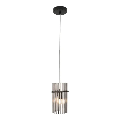 Светильник подвесной Miller LSP-8925 Lussole прозрачный 1 лампа, основание чёрное в стиле современный 