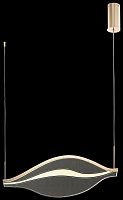 Светильник подвесной LED Hetti WE450.01.303 Wertmark купить, отзывы, фото, быстрая доставка по Москве и России. Заказы 24/7