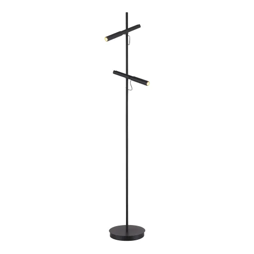 Торшер LED Lilt SL6210.405.02 ST-Luce для чтения чёрный на 2 лампы, основание чёрное в стиле современный 