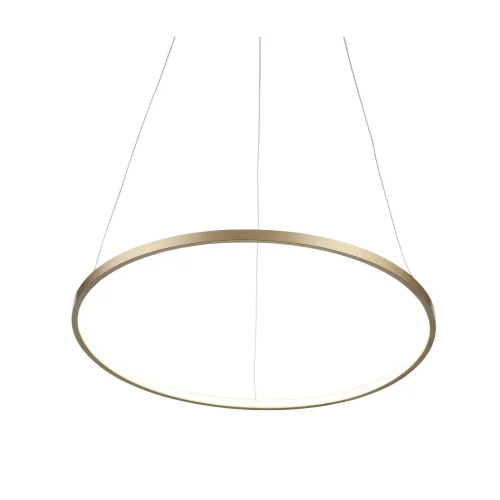 Светильник подвесной LED Erto SL904.203.01 ST-Luce золотой 1 лампа, основание золотое в стиле хай-тек кольца фото 2