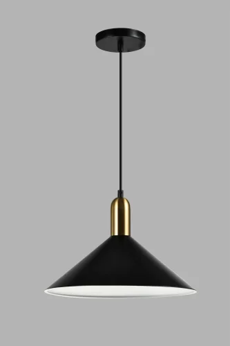 Светильник подвесной Forli V10440-1P Moderli чёрный 1 лампа, основание чёрное в стиле современный лофт  фото 2